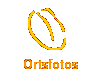 Ortsfotos
